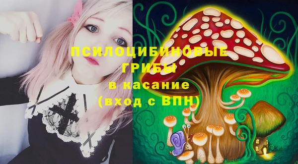 крисы Вяземский